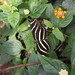 Michael Burleson Photo 39