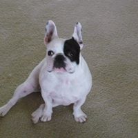 Shelly Stone Photo 43