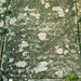Richard Brisson Photo 10