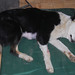 Flossie Sharp Photo 2