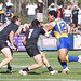 Harold Matthews Photo 33