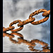 Link Brown Photo 17