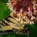 Debbie Mabry Photo 18