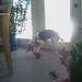 Debra Dayton Photo 8