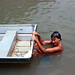 Mark Bailey Photo 24