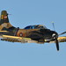 Douglas Wright Photo 25