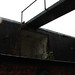 Steven Fort Photo 32