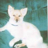 Elsie Morrissette Photo 4