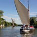 Timothy Horning Photo 11