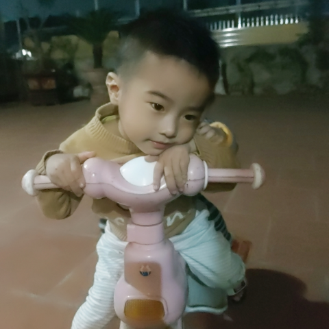 Thi Trinh Photo 5