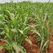 Maria Dodson Photo 10