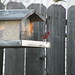 Janine Caldwell Photo 21
