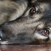Sadie Miller Photo 10