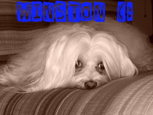 Jori Johnson Photo 16