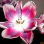 Emily Boothe Photo 12