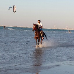 Ahmed Alharbi Photo 21