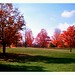 Scott Comstock Photo 20