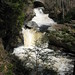 Lawrence Tully Photo 9
