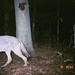 Tirrell North Photo 13