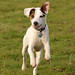 Jack Langley Photo 12