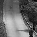 Andrew Carrington Photo 18