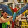 Debbie Goodrich Photo 23