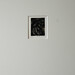 Rachel Jackson Photo 19