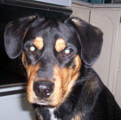 Tammy Worthington Photo 11