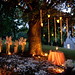 Bernadette Smith Photo 12