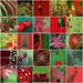 Sherrie Green Photo 24