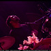 Brandon Clapp Photo 17