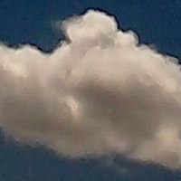 Jackson Keller Photo 11