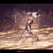 Mago Gil Photo 2