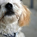 Archie Olds Photo 4