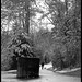 Shelly Marker Photo 13