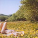 Julia Woo Photo 14