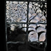 Martin Bone Photo 14