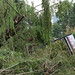 Evelyn Garrison Photo 19