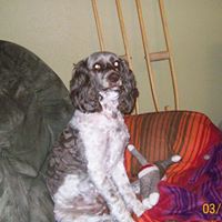 Kimberly Dukes Photo 2