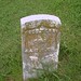 Thomas Terry Photo 22