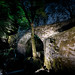 Mark Howell Photo 29