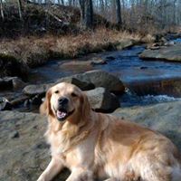 Ted Sowers Photo 1