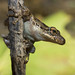 Jose Zarate Photo 34