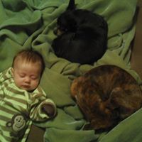 Michael Crites Photo 31