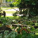 Paula Harmon Photo 9