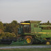 John Reap Photo 15
