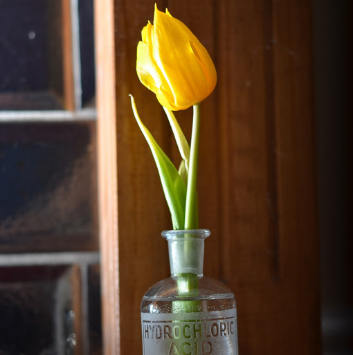 Rebecca Osborn Photo 33