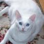 Judy Horton Photo 44