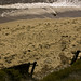 Mark Ellwood Photo 24