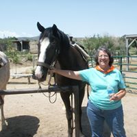 Beth Hull Photo 26